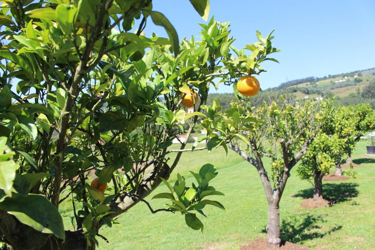 Posada El Campo Secadura Bagian luar foto